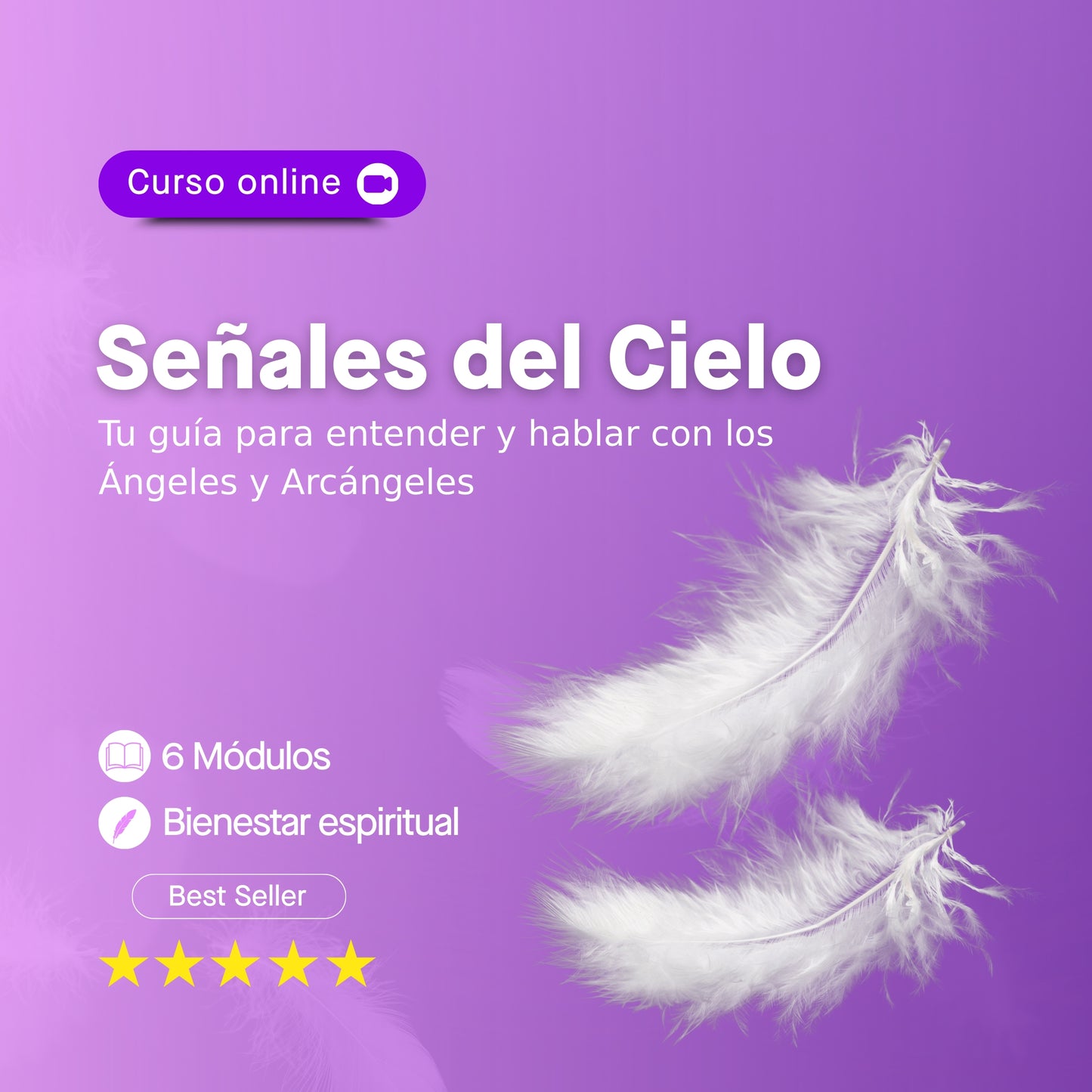 Curso: Señales del Cielo - Guía para entender y hablar con los Ángeles y Arcángeles